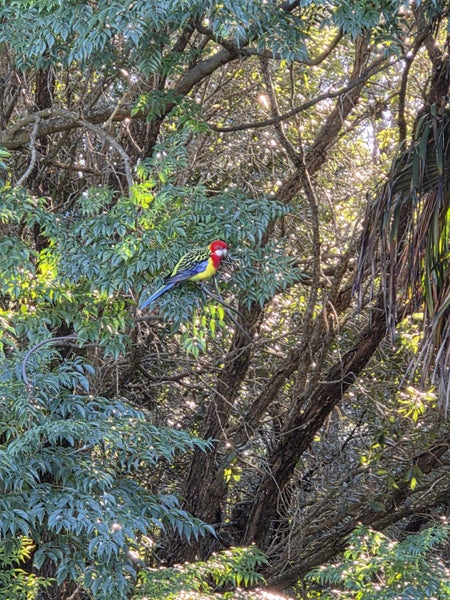 11 Muritai Road, Ostend, Waiheke Island - Carousel 19
