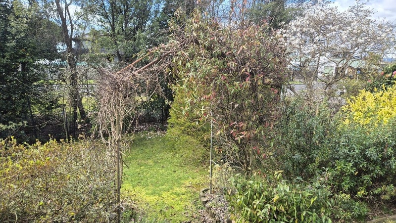 31 Waikuta Road, Ngongotaha, Rotorua - Carousel 1