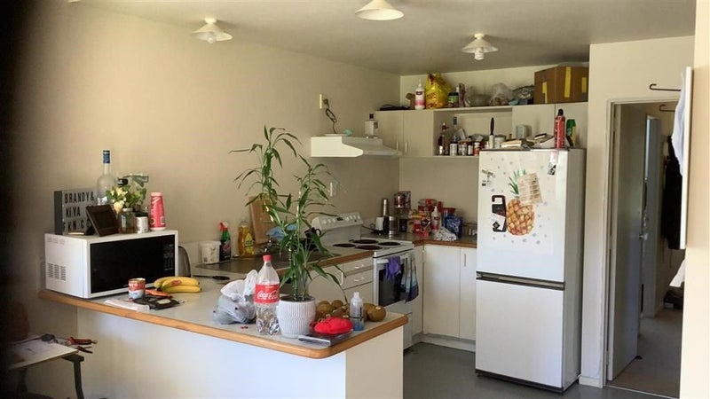 24 Gill Lane, Te Puna - Carousel 2