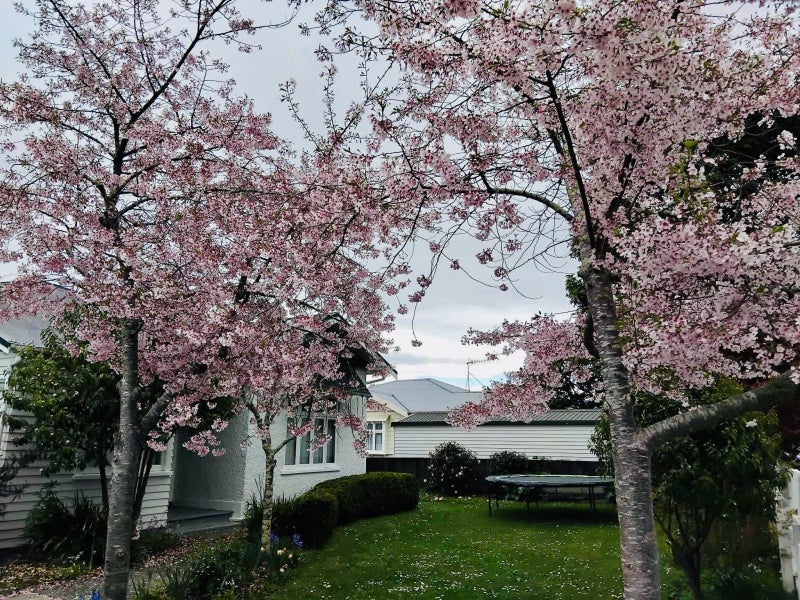 32 Worcester Street, West End, Palmerston North - Carousel 27