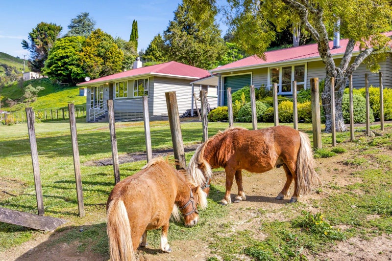0 Whangamomona Rd, Whangamomona, Stratford - Carousel 30