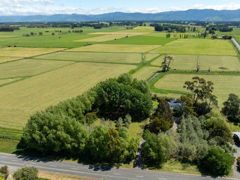 8 Wards Line, Morison Bush, Greytown - Carousel 29