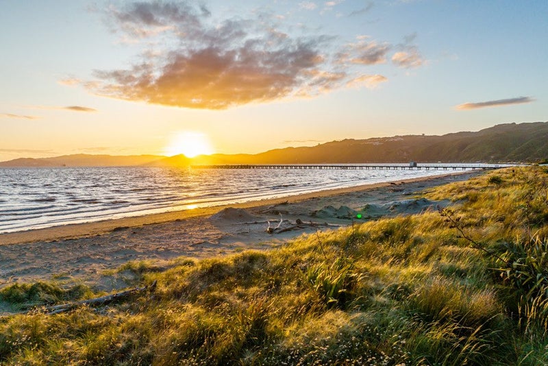 1 Richmond Street, Petone, Lower Hutt - Carousel 11