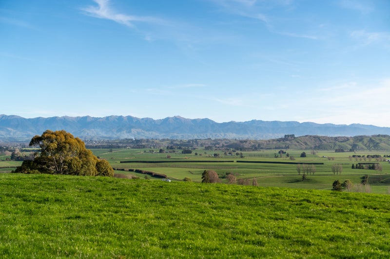0 Castlepoint Rd, Tinui, Masterton - Carousel 2