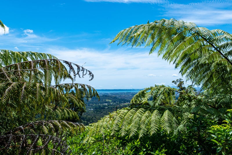 154 Opanuku Road, Henderson Valley, Auckland - Carousel 2