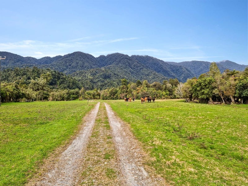 407 Fox Glacier Highway, Franz Josef/Waiau - Carousel 30