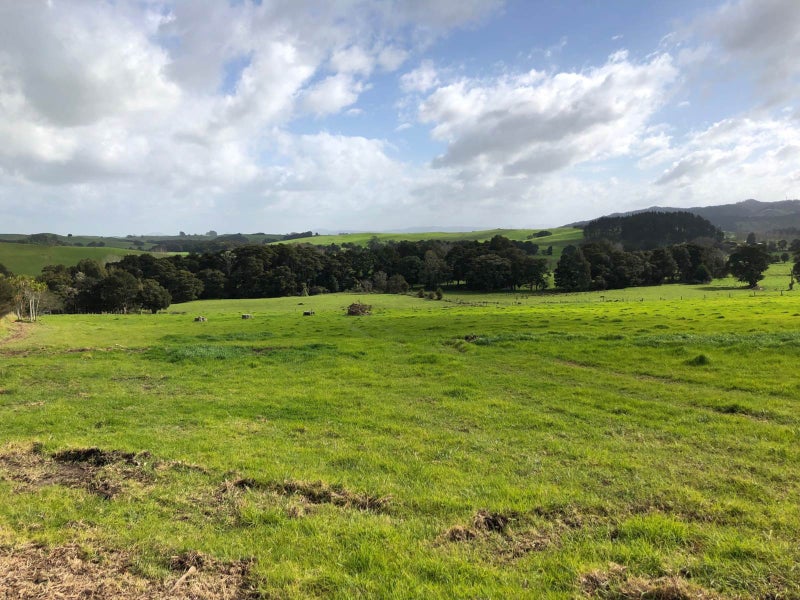 0 Sail Rock Road, Ruakaka, Ruakaka - Carousel 7
