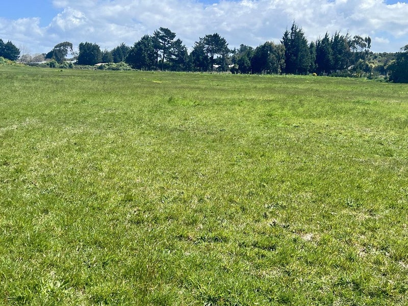 10 Amos Way, Otatara, Invercargill - Carousel 2