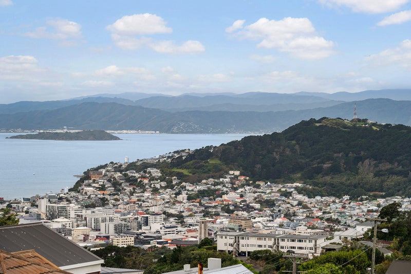 66 Mitchell Street, Brooklyn, Wellington - Carousel 2