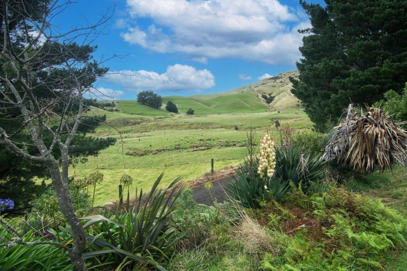 503 Parkville Road, Eketahuna, Eketahuna - Carousel 23