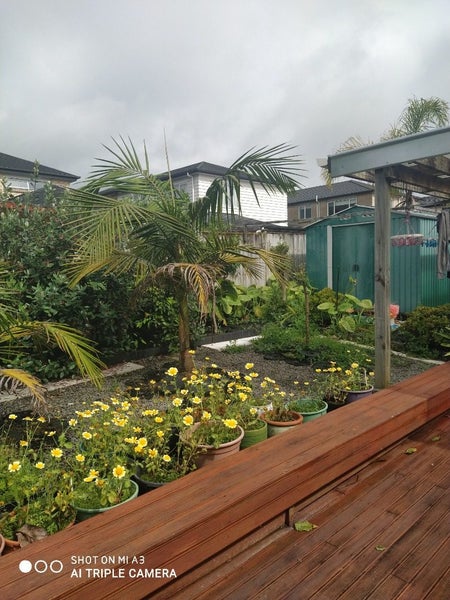 48 Helianthus Avenue, Flat Bush, Auckland - Carousel 8