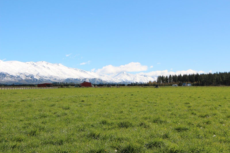 770 Hamilton Road, Ashwick Flat, Fairlie - Carousel 1