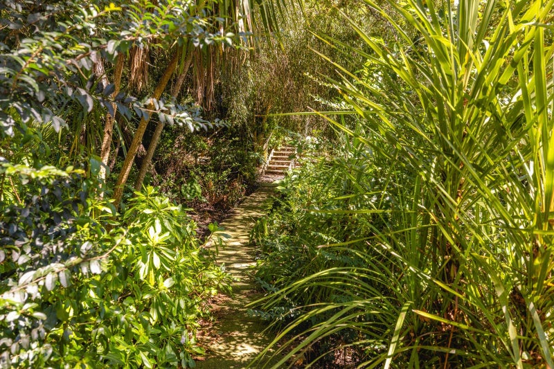 67 Onetangi Road, Onetangi, Waiheke Island - Carousel 13