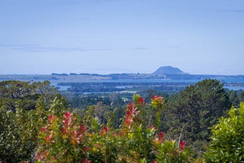 360A Busby Road, Katikati, Western Bay Of Plenty, Bay Of Plenty - Carousel 2