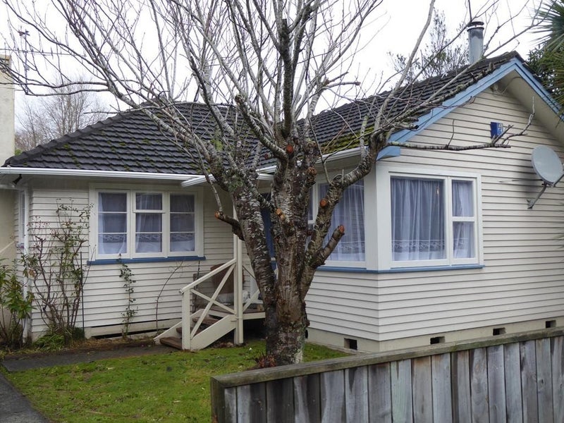 102 Pharazyn Street, Melling, Lower Hutt - Carousel 1