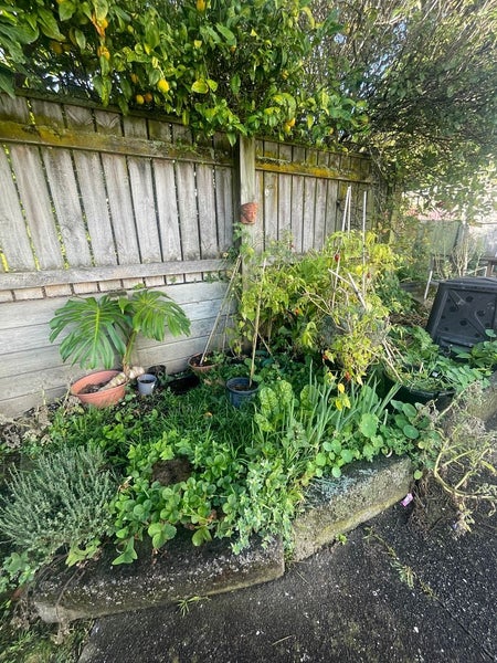 23 Nairn Street, Mount Cook, Wellington - Carousel 12