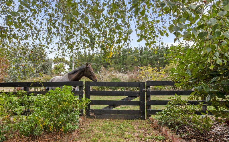 21 Raumai Road, Bulls - Carousel 28