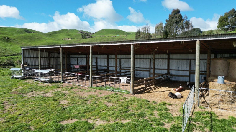 866 Mangatete Road, Ngakuru, Rotorua - Carousel 30