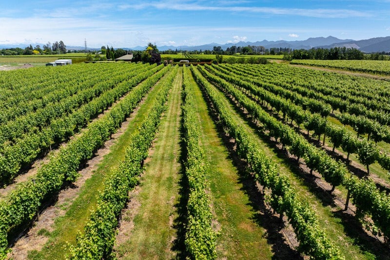 56 Thomsons Ford Road, Thomsons Ford, Blenheim - Carousel 38