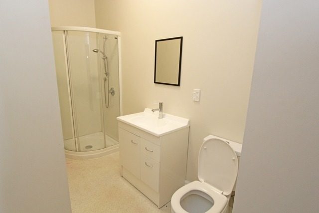 1036 George Street, North Dunedin, Dunedin - Carousel 2