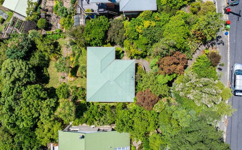 177 Evans Street, Opoho, Dunedin - Carousel 22