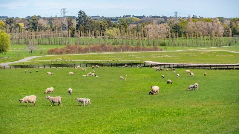 10 Kapuka Lane, Kennedys Bush, Christchurch - Carousel 23