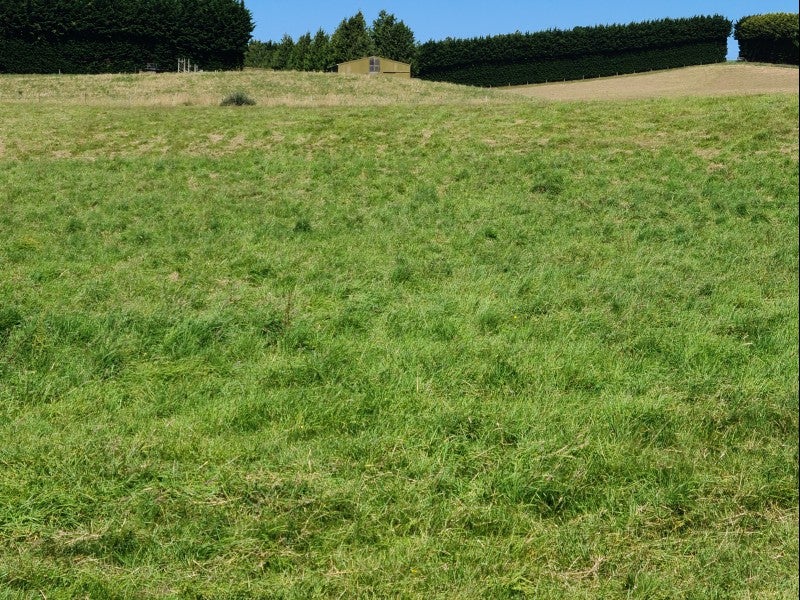 Property Valuation for 81 Homestead Road, Weston, Oamaru Trade Me