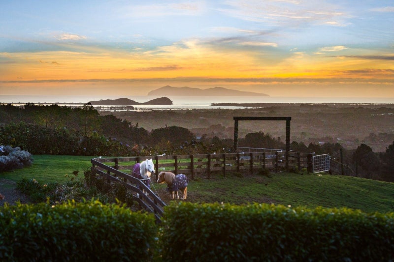 2/413C Busby Road, Tahawai, Tahawai - Carousel 1