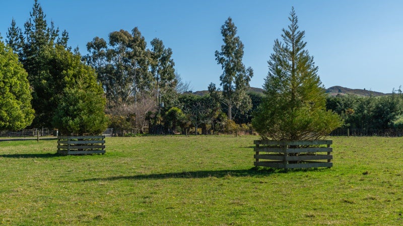 269 Downs Road, Darfield - Carousel 50