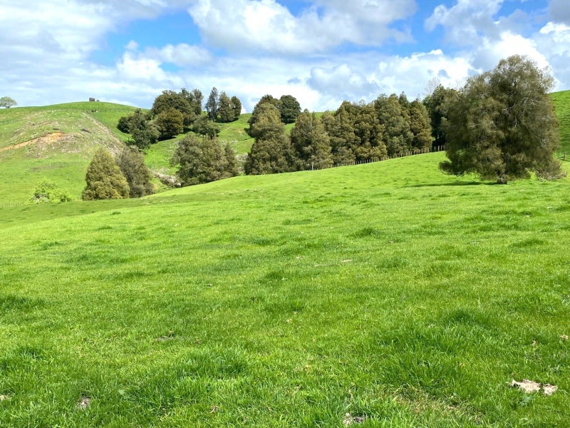 23 Mairoa Road, Piopio, Piopio - Carousel 1