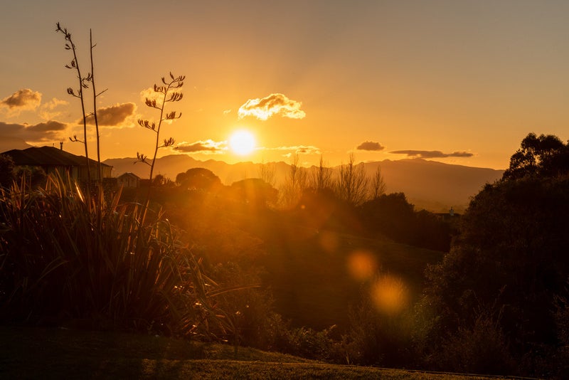 657 Minden Road, Wairoa, Tauranga - Carousel 20