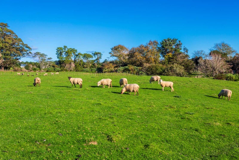 277 Taupaki Road, Taupaki, Rodney, Auckland - Carousel 1