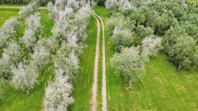 2 Edgehaven Lane, Te Teko, Whakatane - Carousel 50