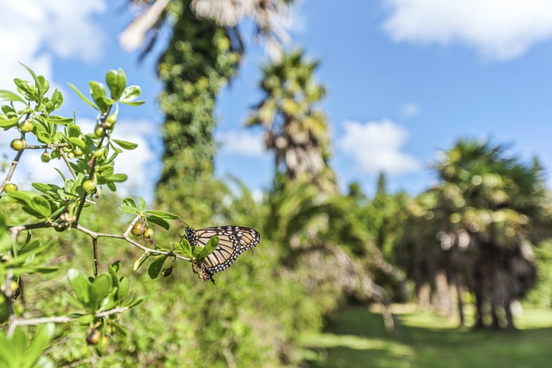 6388A South Road, Pungarehu, Opunake - Carousel 2