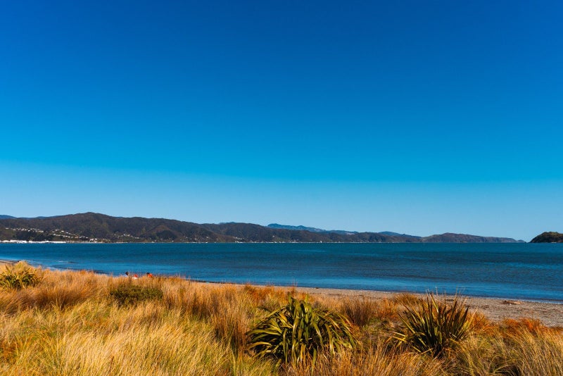 9 Buick Street, Petone, Lower Hutt - Carousel 26