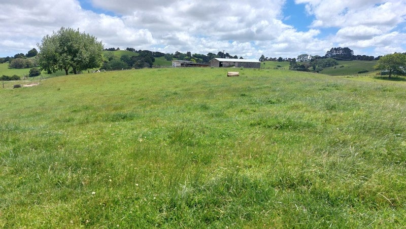 7 Franklin Road, Paparoa - Carousel 27