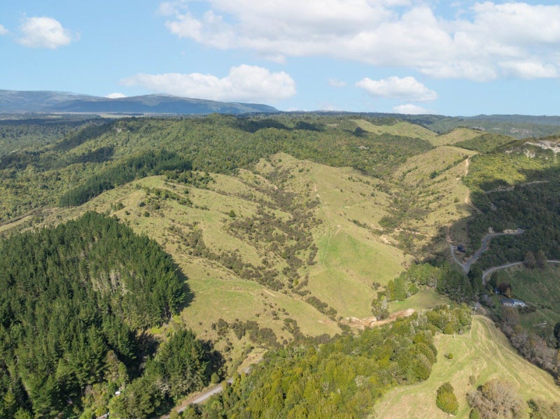 0 Kaitieke Road, Raurimu, Owhango - Carousel 20