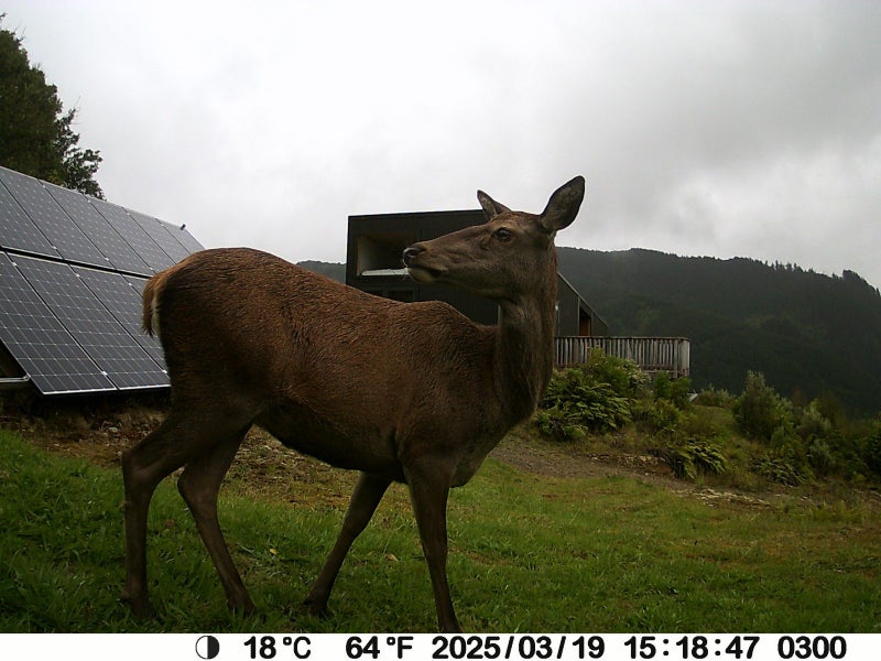 1309 Otaki Gorge Road, Hautere - Carousel 39