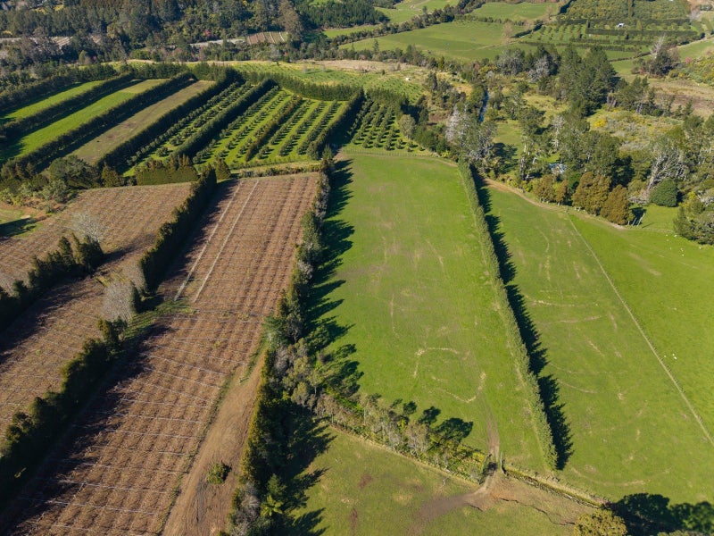 353 Lockington Road, Aongatete, Aongatete - Carousel 29