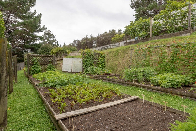 1344 Akatarawa Road, Akatarawa Valley, Upper Hutt - Carousel 42