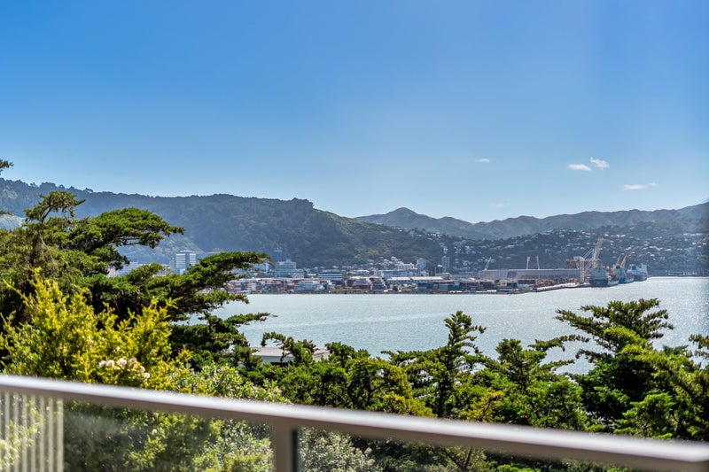1/9 Wilkinson Street, Oriental Bay, Wellington, Wellington - Carousel 2