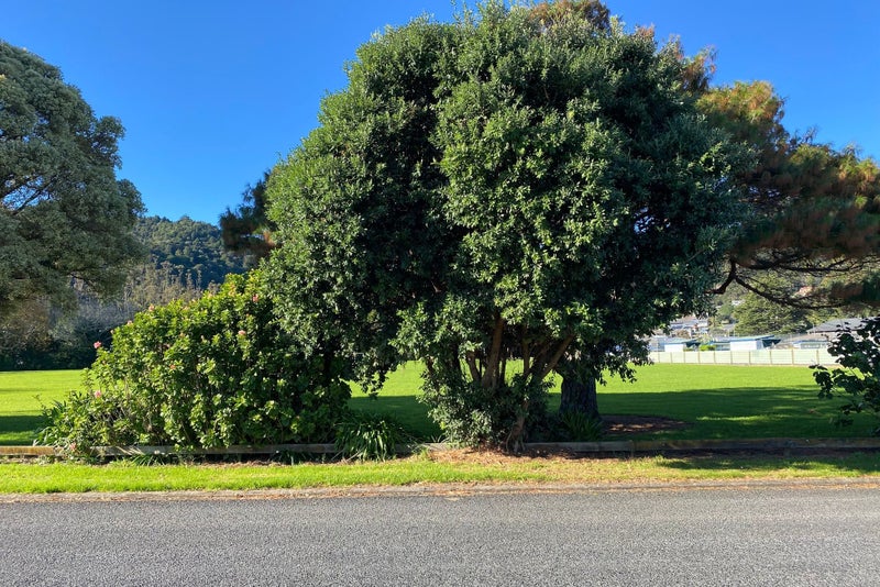33 West Crescent, Te Puru, Thames - Carousel 28