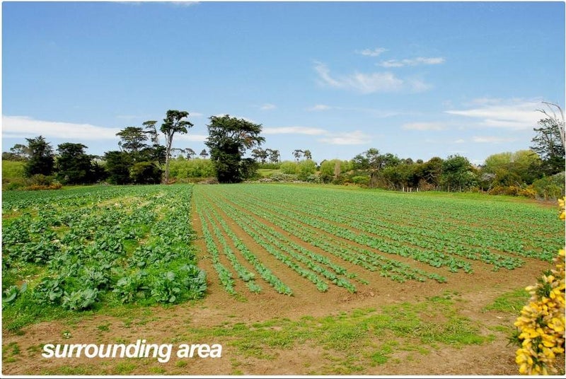 42 Retreat Drive, Mangere, Auckland - Carousel 2