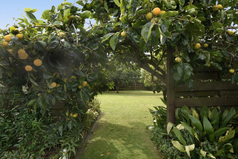 33 Lydbrook Place, Otumoetai, Tauranga - Carousel 18