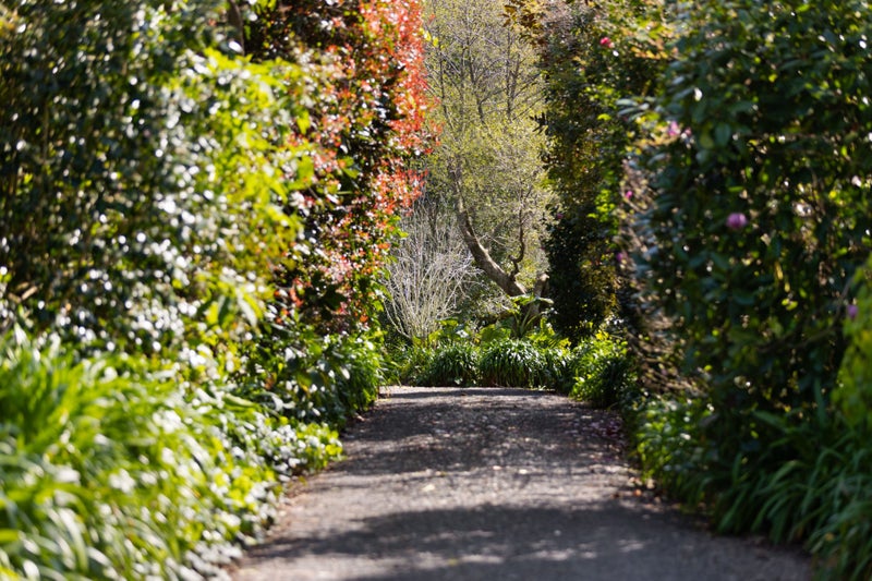 356 Belk Road, Omanawa, Tauranga - Carousel 37