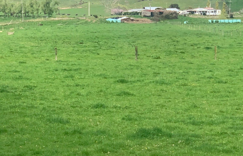 175 Maratoto Road, Hikutaia, Paeroa - Carousel 8