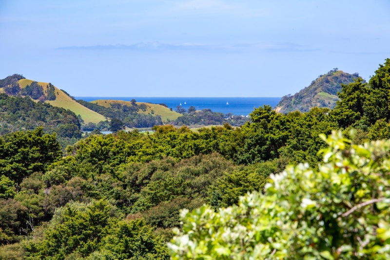 117 Te Awa Road, Pohangina, Feilding - Carousel 2