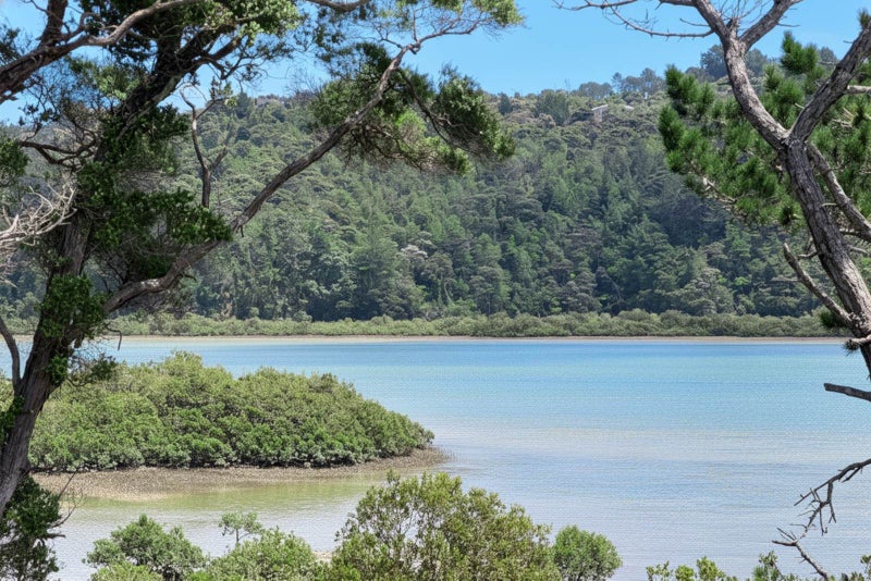 142A Kittiwake Drive, Albany, North Shore City, Auckland - Carousel 2