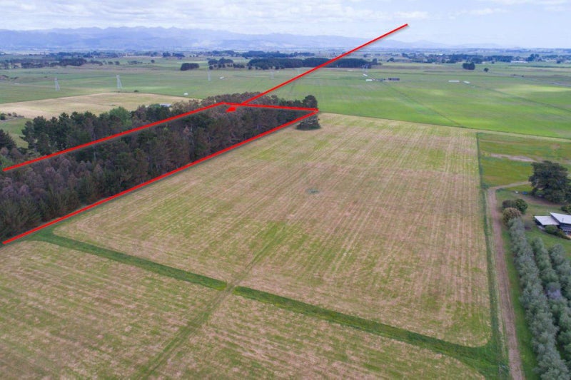 270 Motuiti Road, Foxton, Foxton - Carousel 19