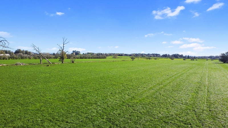 90 Duncan Road, Tamahere, Hamilton - Carousel 2